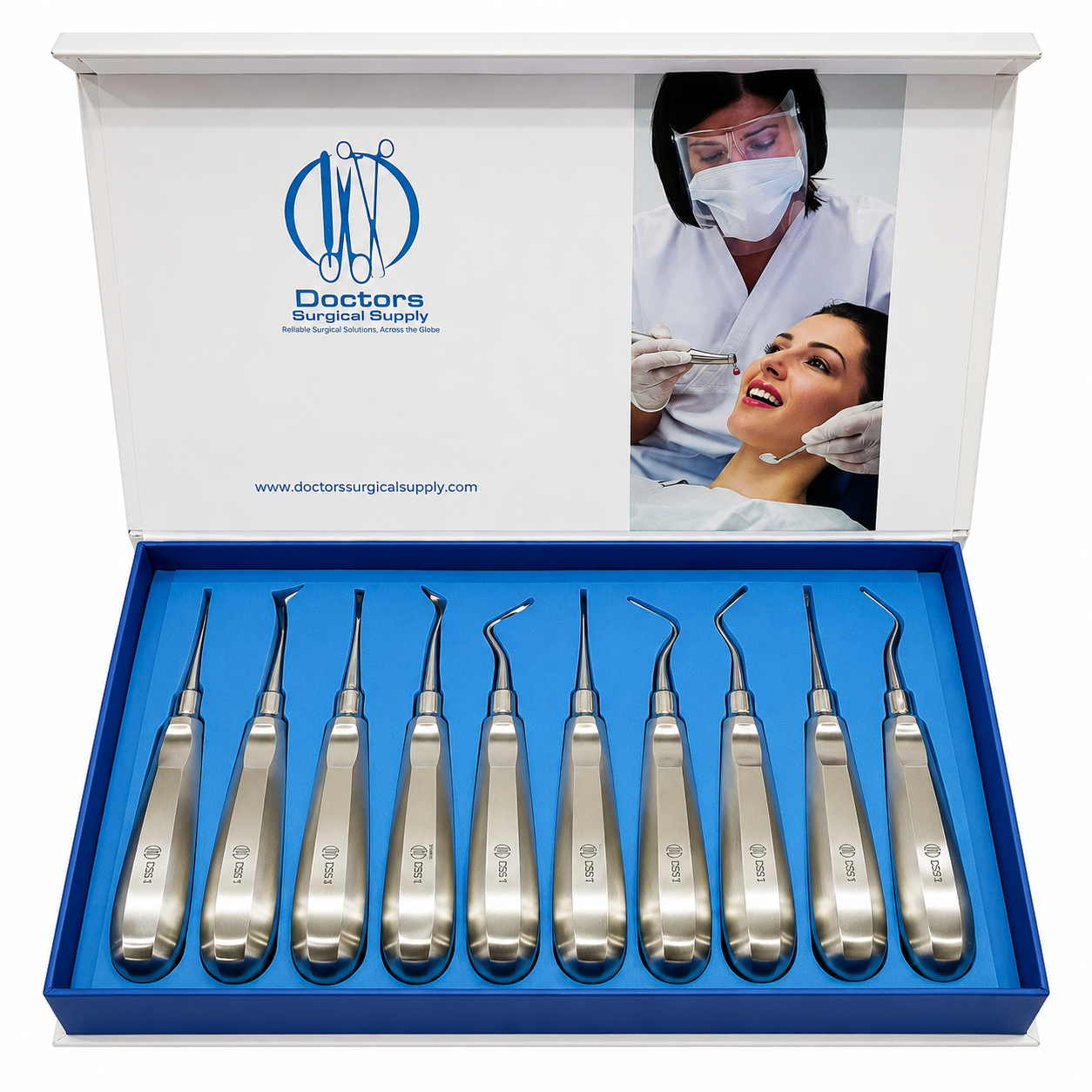 Dental Root Elevator Set 10Pc Luxating Cryer Straight Curved Oral Surgery SS
